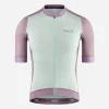 Jersey Lilac