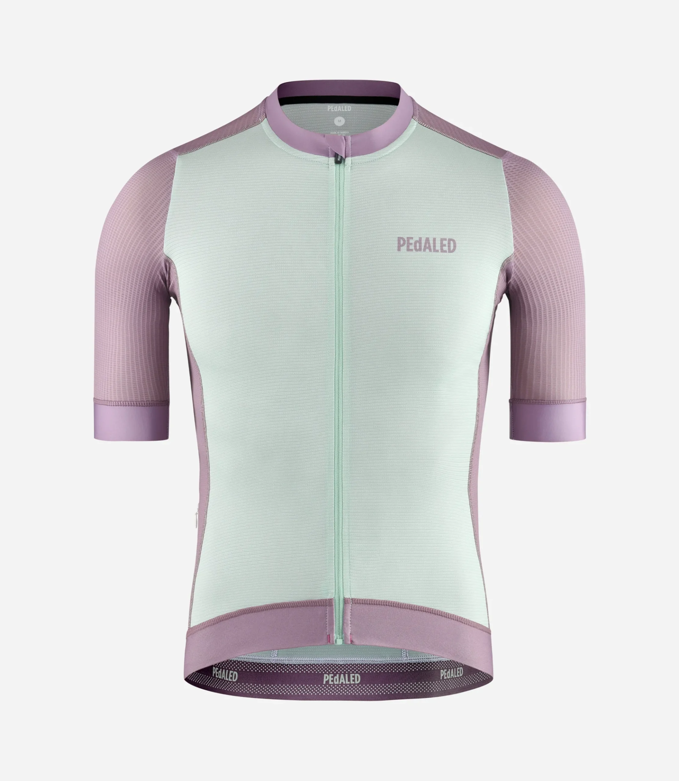 Jersey Lilac