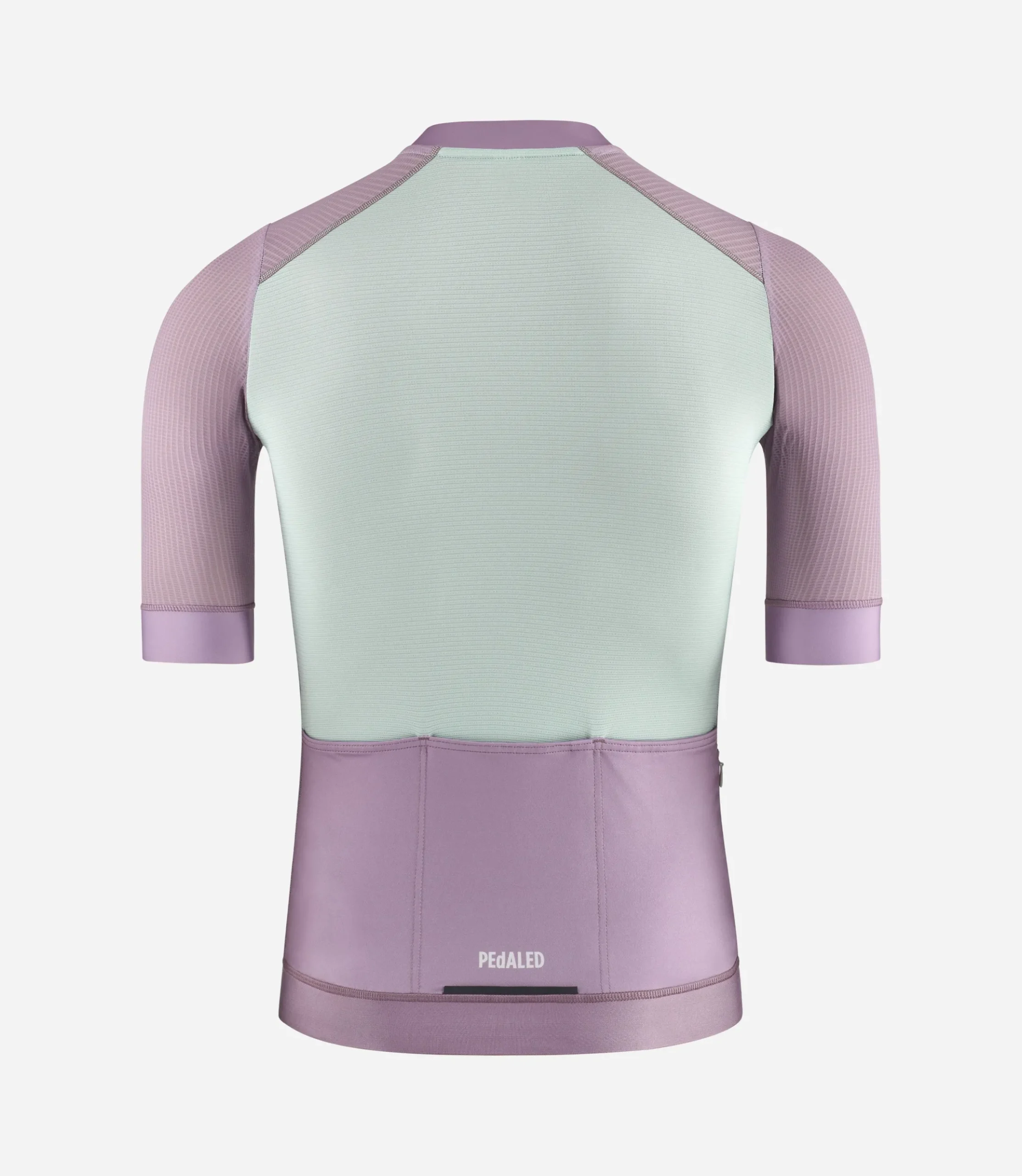 Jersey Lilac
