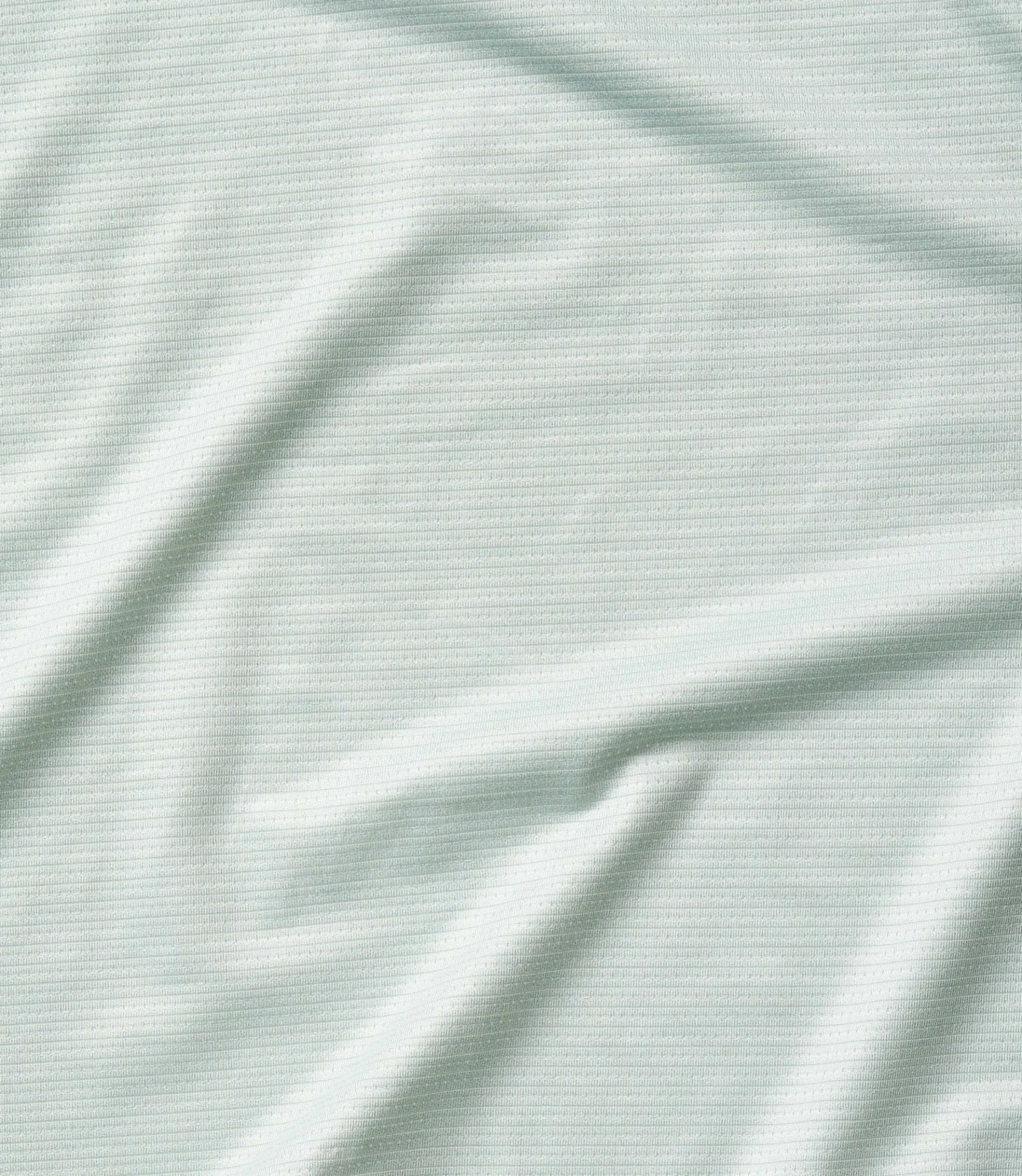 Jersey Lilac